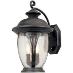 Black outdoor wall light fixture with clear glass shade on a white background