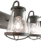 Darby 30 in. 4-Light Industrial Vanity Light with Clear Seeded Glass Shades