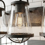 Darby 30 in. 4-Light Industrial Vanity Light with Clear Seeded Glass Shades