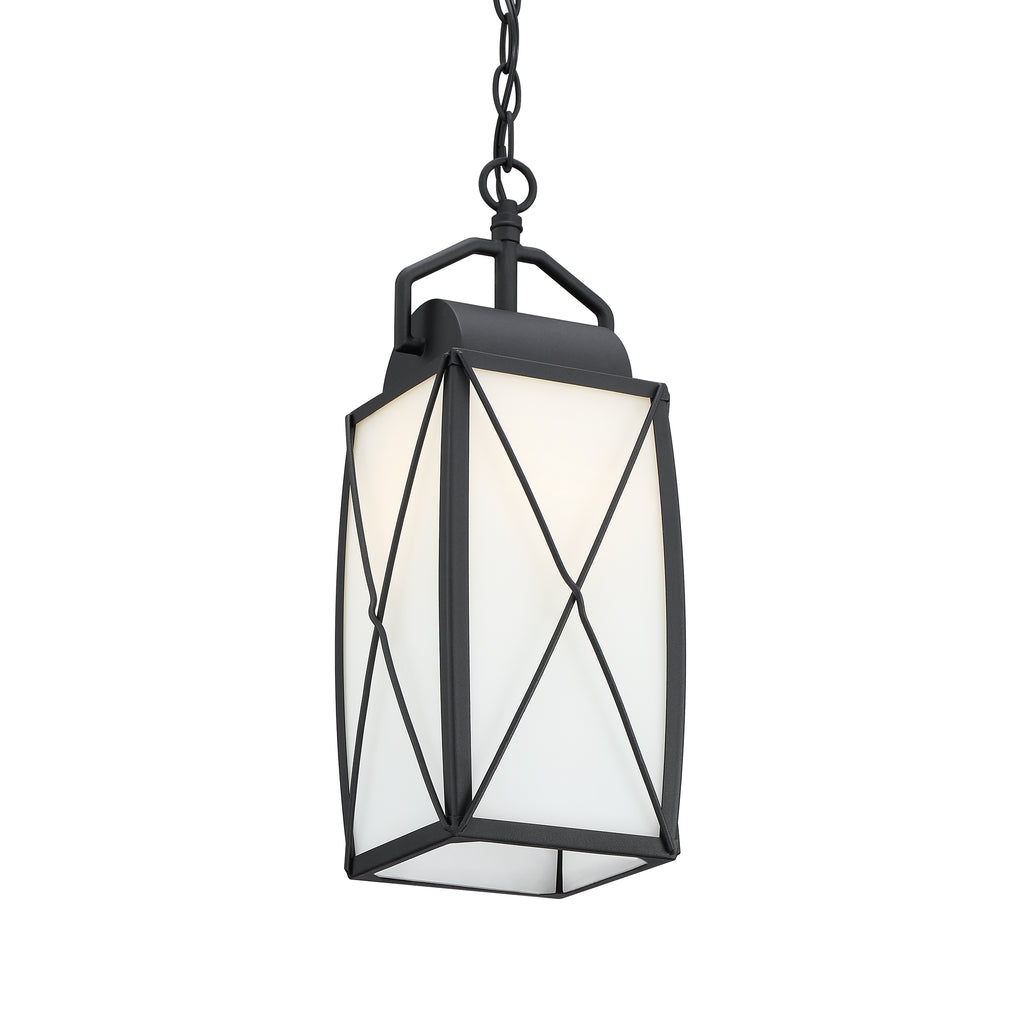 Fairlington 1 Light Outdoor Hanging Lantern