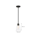 Westin 60-Watt 1-Light Matte Black Industrial Pendant Light with Clear Glass Shade and No Bulbs Included