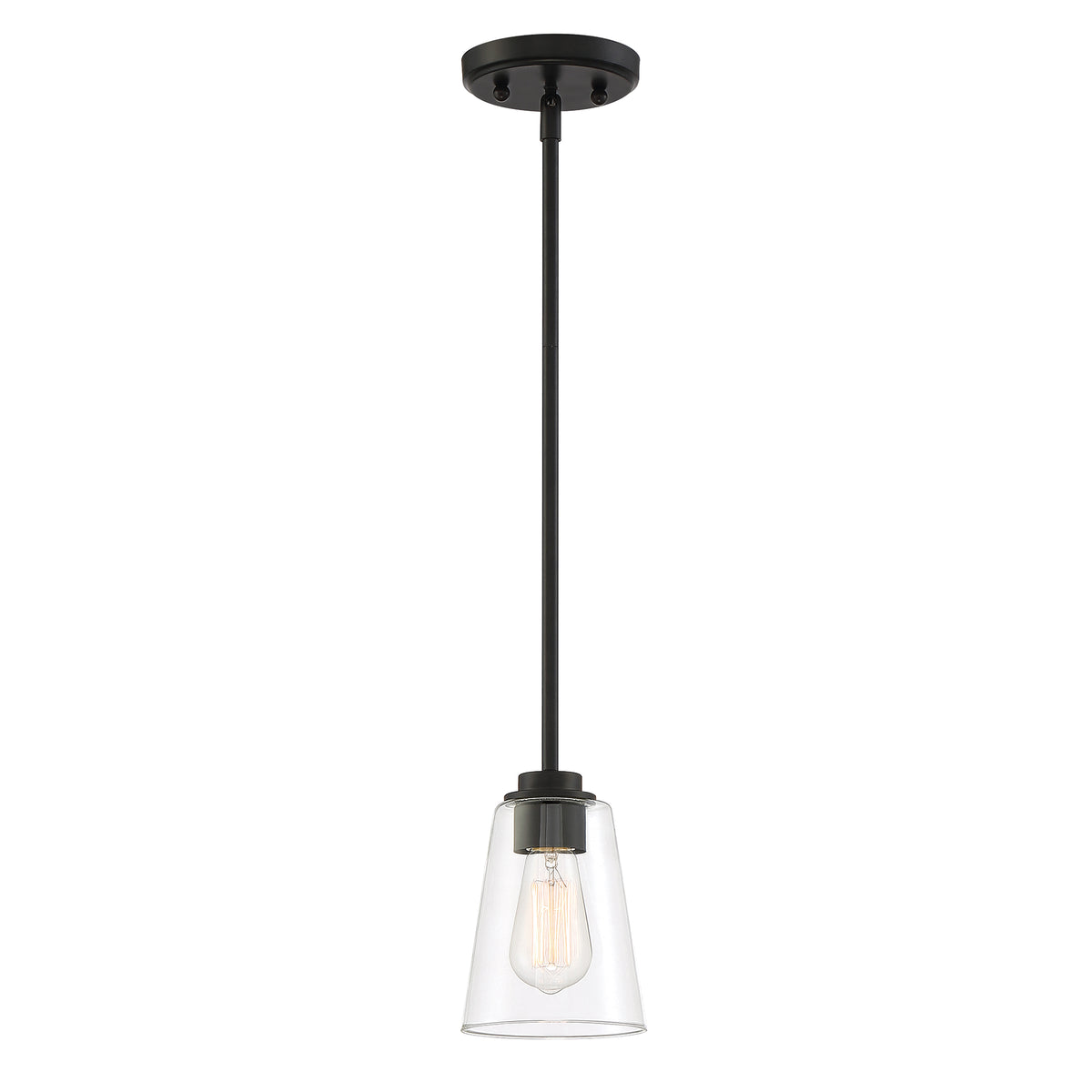 Westin 60-Watt 1-Light Matte Black Industrial Pendant Light with Clear Glass Shade and No Bulbs Included