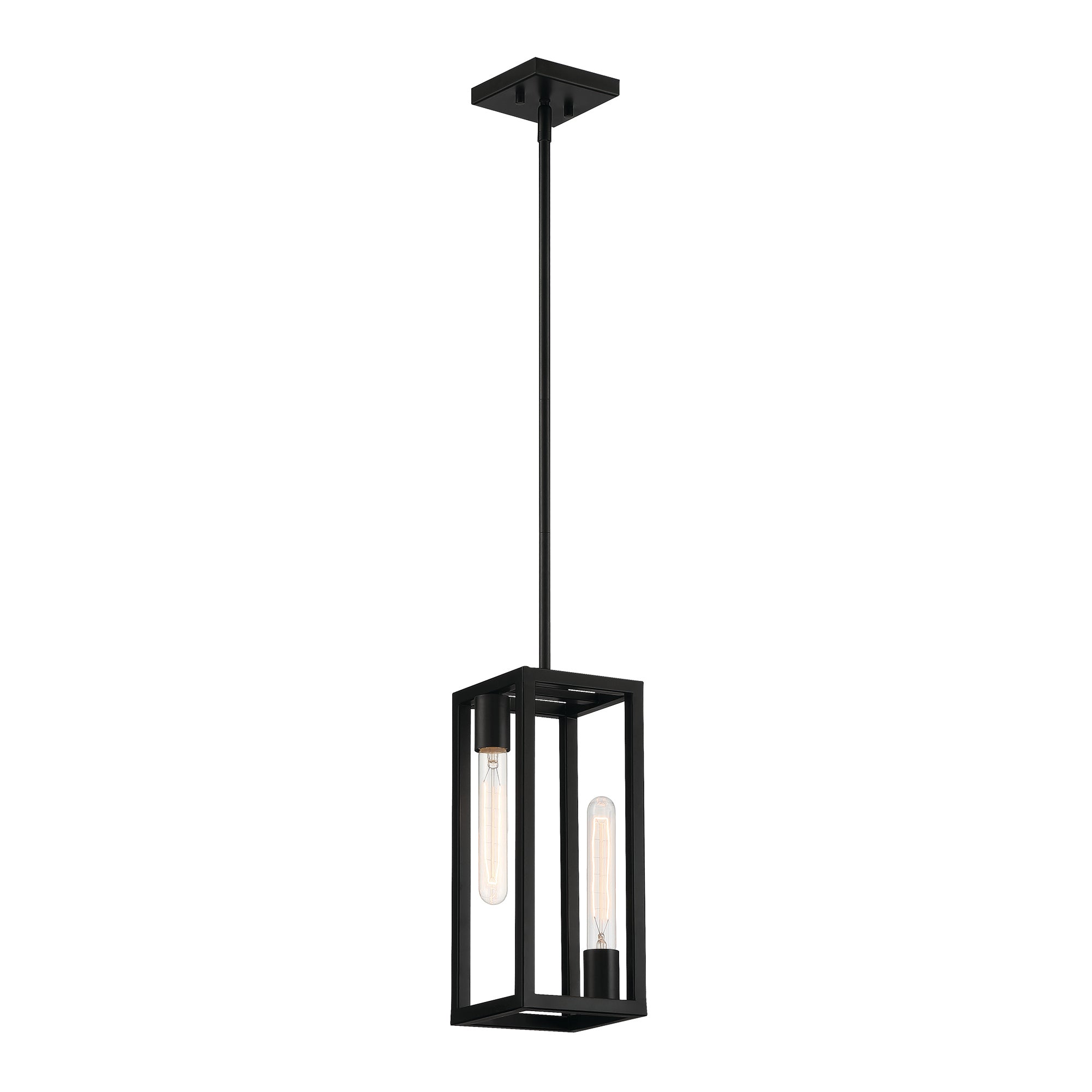 Urban Oasis 2 Light Pendant