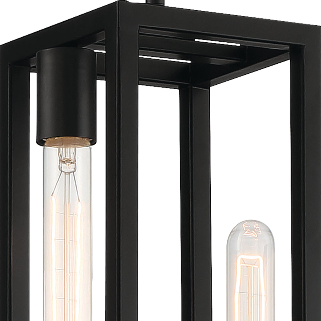 Urban Oasis 2 Light Pendant
