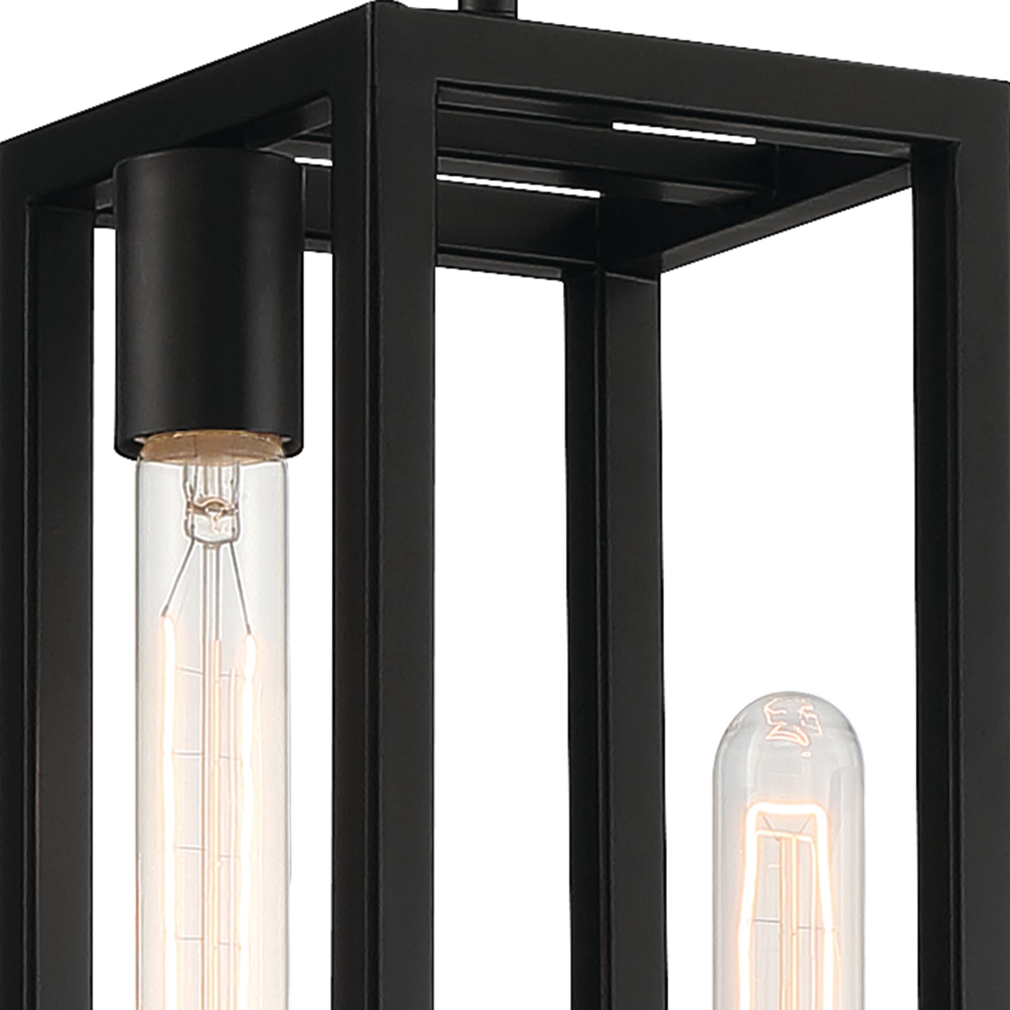 Urban Oasis 2 Light Pendant