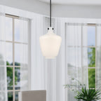 1 Light Pendant