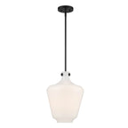 1 Light Pendant