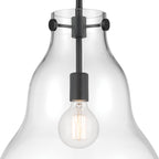 Lakeview 1 Light Pendant