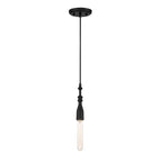 Black pendant light fixture on a white background