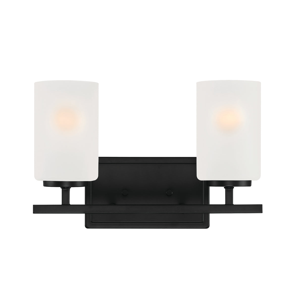 Carmine 14 in. 2-Light Brushed Nickel Transitional Vanity Light with Etched Glass Shades for Bathrooms