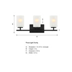 Carmine 21 in. 3-Light Matte Black Transitional Vanity Light with Etched Glass Shades for Bathrooms