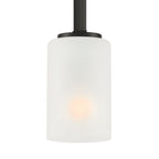 Carmine 1 -Light Matte Black Pendant