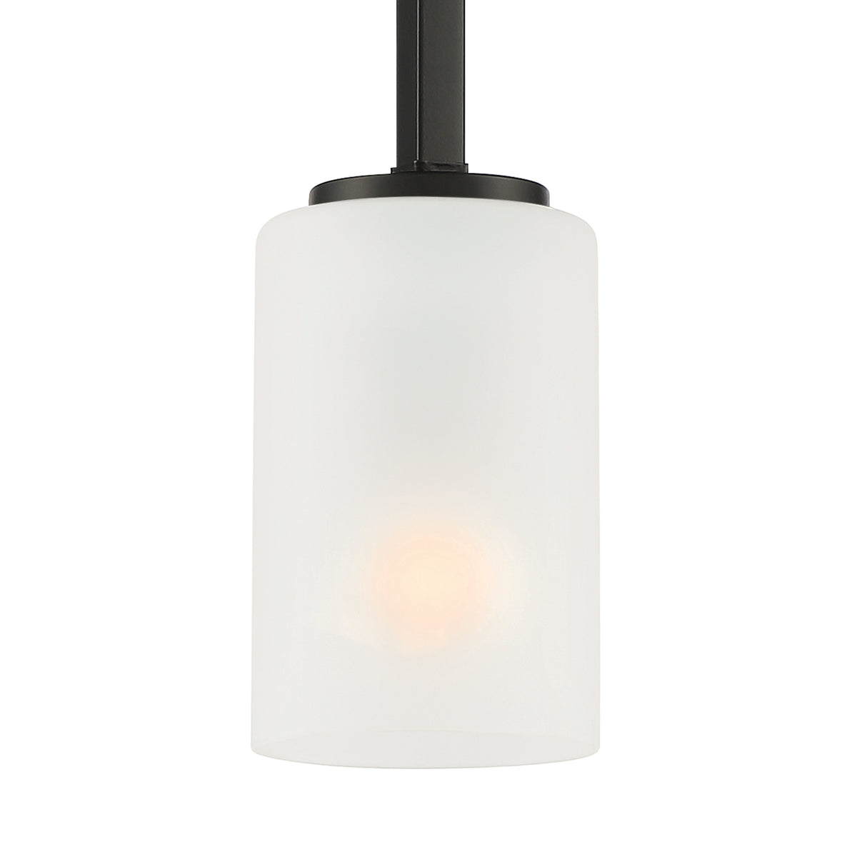 Carmine 1 -Light Matte Black Pendant