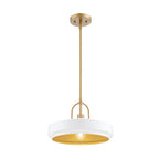 Odea 60-Watt 1-Light Matte White Transitional Pendant Light with Matte White Metal Shade and No Bulbs Included