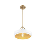Odea 60-Watt 1-Light Matte White Transitional Pendant Light with Matte White Metal Shade and No Bulbs Included