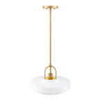 Odea 60-Watt 1-Light Matte White Transitional Pendant Light with Matte White Metal Shade and No Bulbs Included