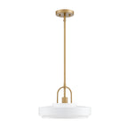 Odea 60-Watt 1-Light Matte White Transitional Pendant Light with Matte White Metal Shade and No Bulbs Included