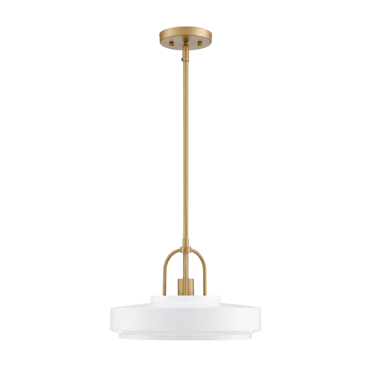 Odea 60-Watt 1-Light Matte White Transitional Pendant Light with Matte White Metal Shade and No Bulbs Included