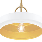 Odea 60-Watt 1-Light Matte White Transitional Pendant Light with Matte White Metal Shade and No Bulbs Included