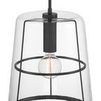 Alonzo 60-Watt 1-Light Matte Black Modern Pendant Light with Clear Glass Shade and No Bulbs Included