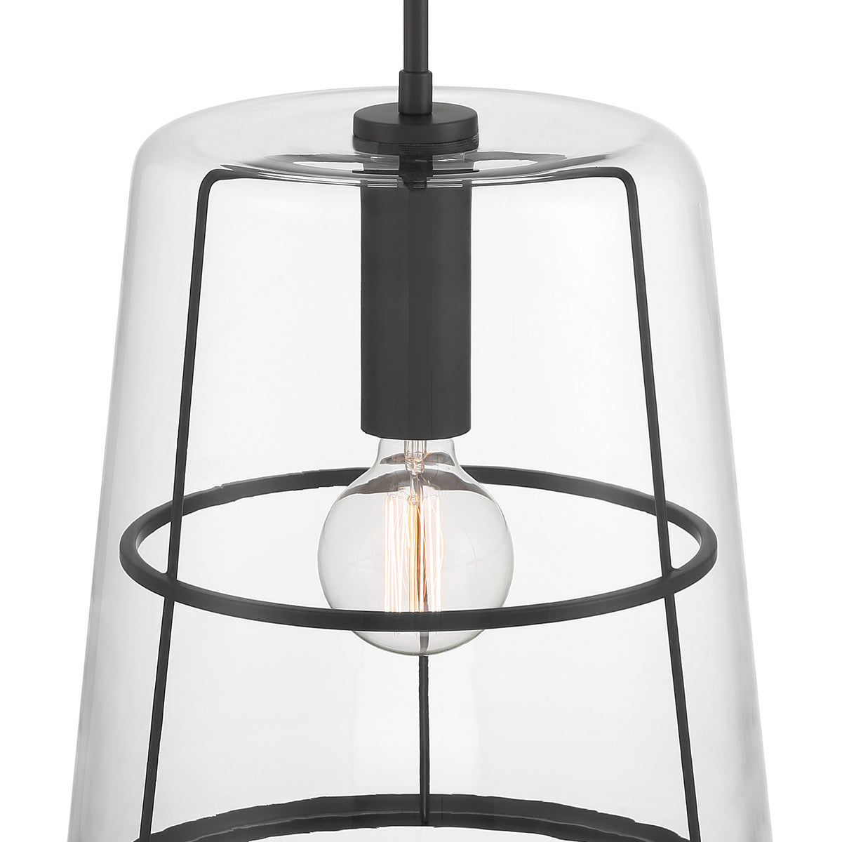 Alonzo 60-Watt 1-Light Matte Black Modern Pendant Light with Clear Glass Shade and No Bulbs Included