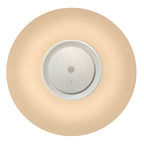 15 in. Adonis White Voice Control Selectable CCT LED Round Ceiling Light Flush Mount
