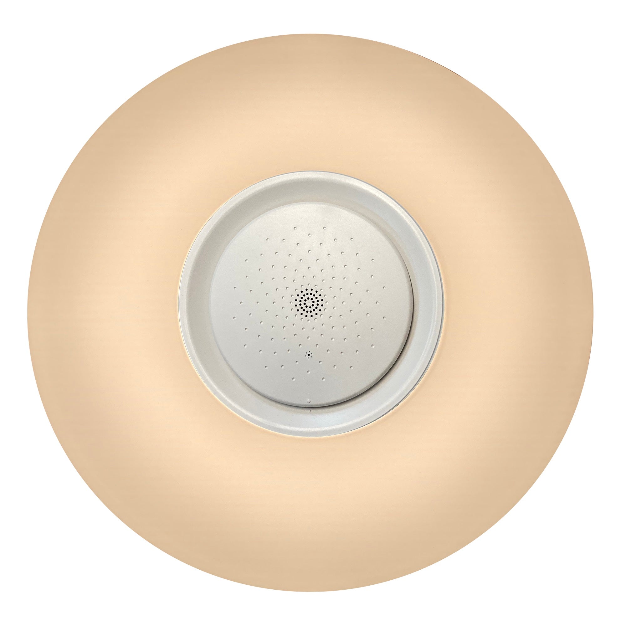 15 in. Adonis White Voice Control Selectable CCT LED Round Ceiling Light Flush Mount