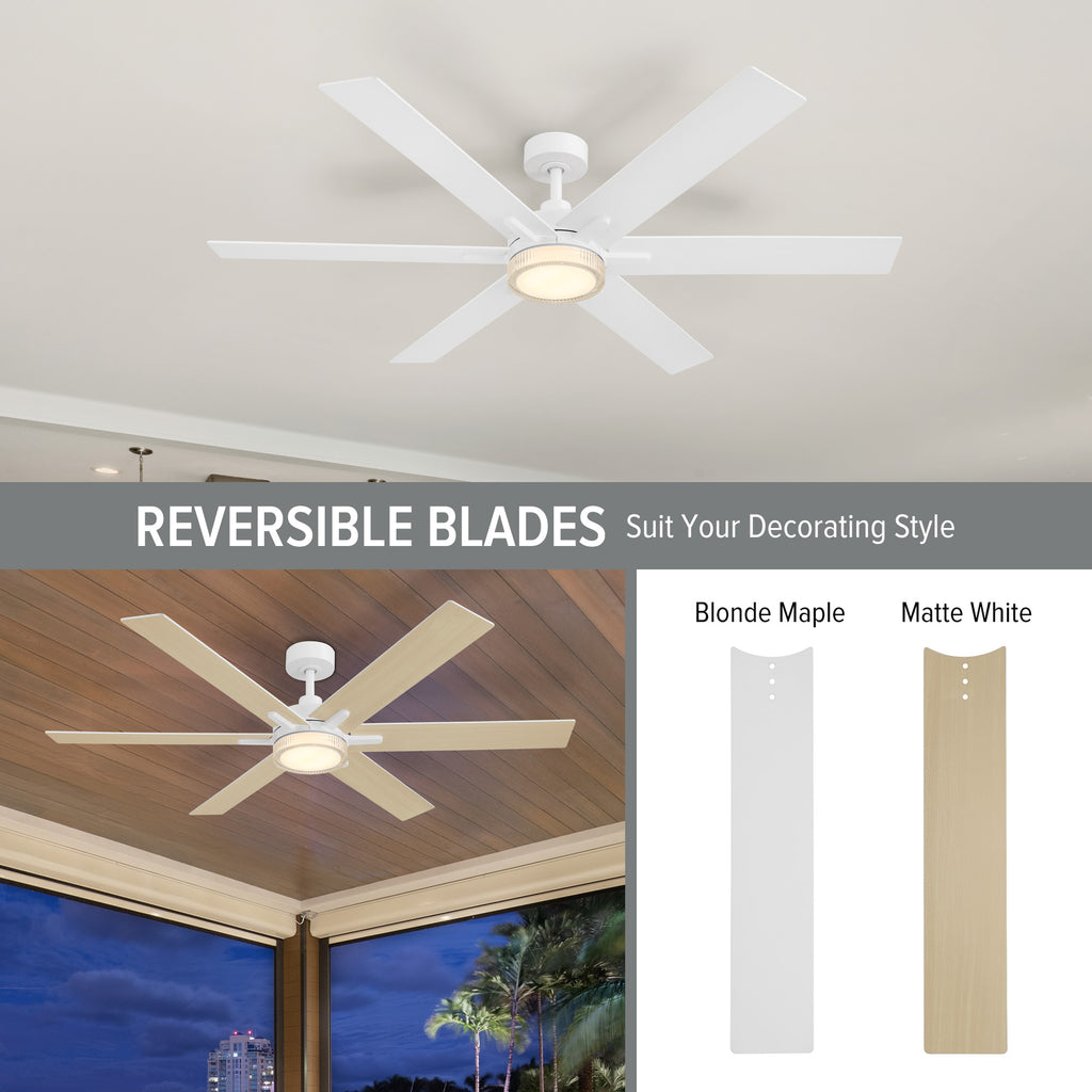 Chillion 60 in. Indoor/Covered Outdoor LED Ceiling Fan with 5 CCT and 7 RGB Selections, Remote Included