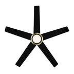Cassique 52 in. Integrated LED Indoor/Outdoor Selectable CCT Ceiling Fan with Light, Remote Control