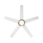 Cassique 52 in. Integrated LED Indoor/Outdoor Selectable CCT Ceiling Fan with Light, Remote Control