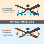 Dines 52 in. Indoor Transitional Ceiling Fan with (2) 3000K LED Bulbs, Frosted Shade, Remote Included