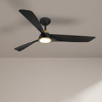 Black ceiling fan with light fixture on a beige wall